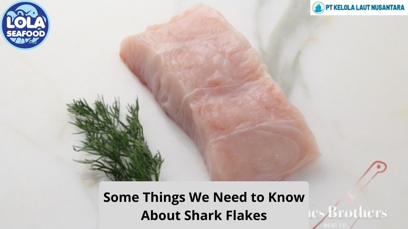 Some Things We Need to Know About Shark Flakes